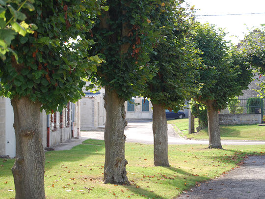 Missy-lès-Pierrepont - Commune de la Communauté de Communes de la Champagne Picarde