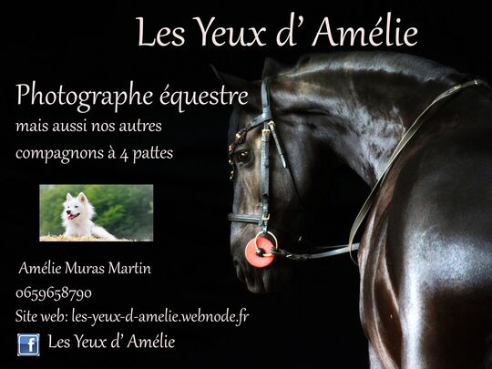 Les yeux d'Amélie